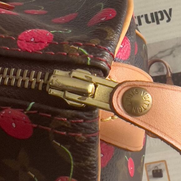 Louis Vuitton Monogram Cherries Speedy 25 - Picture 4 of 16